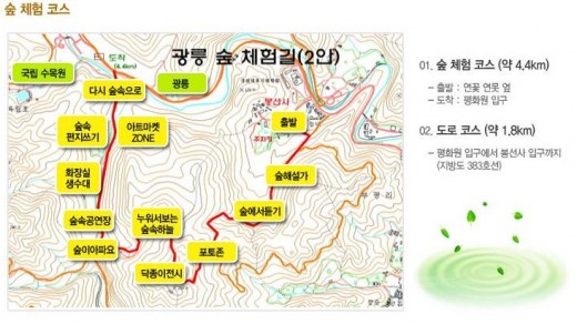 서울대공원 광릉숲 쁘띠프랑스 5월축제